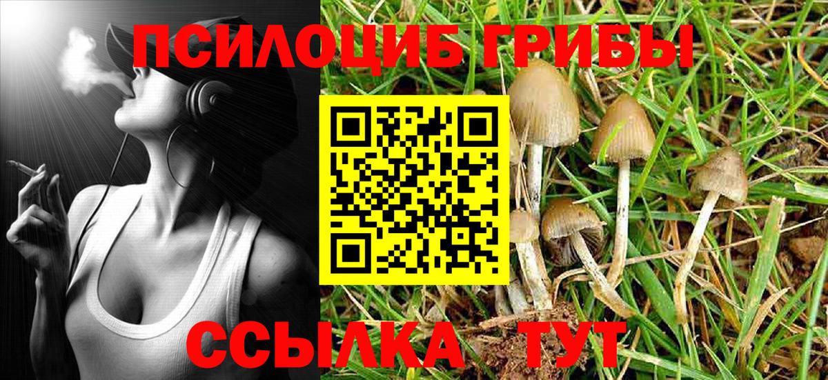 Псилоцибиновые грибы Psilocybine cubensis Арзамас