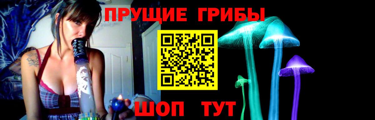 Арзамас  Псилоцибиновые грибы Cubensis  Вход с VPN 